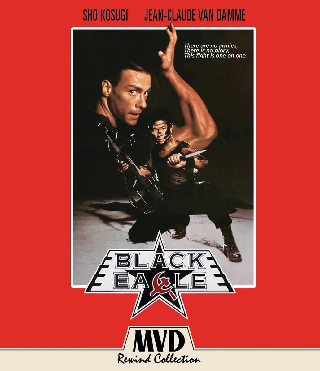 Black Eagle cover