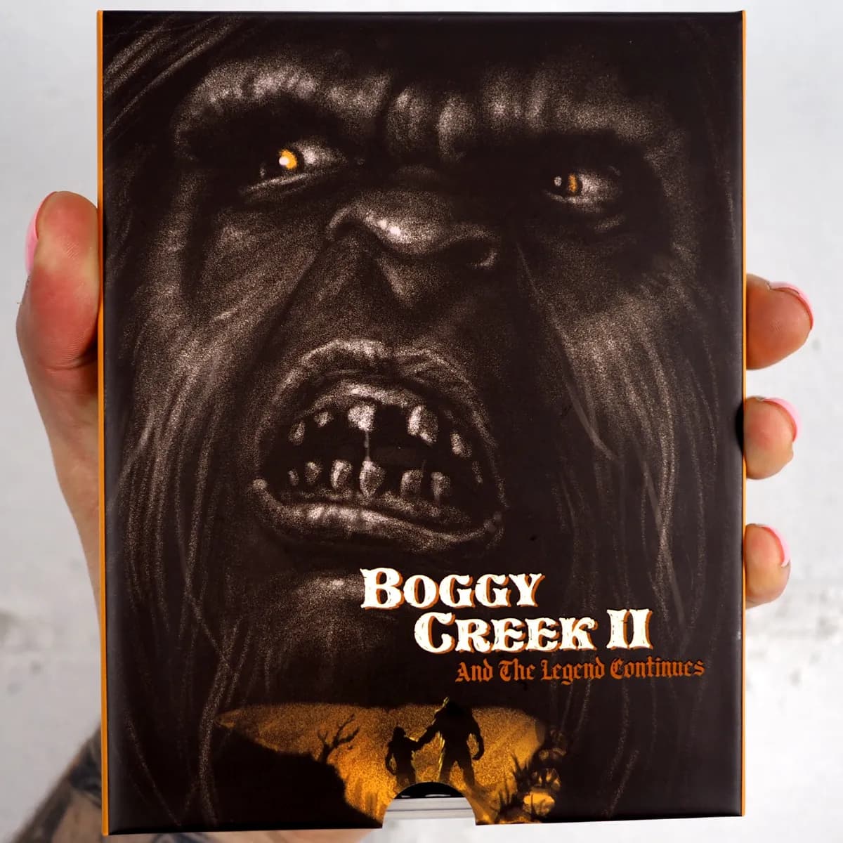 Boggy Creek II: And the Legend Continues cover
