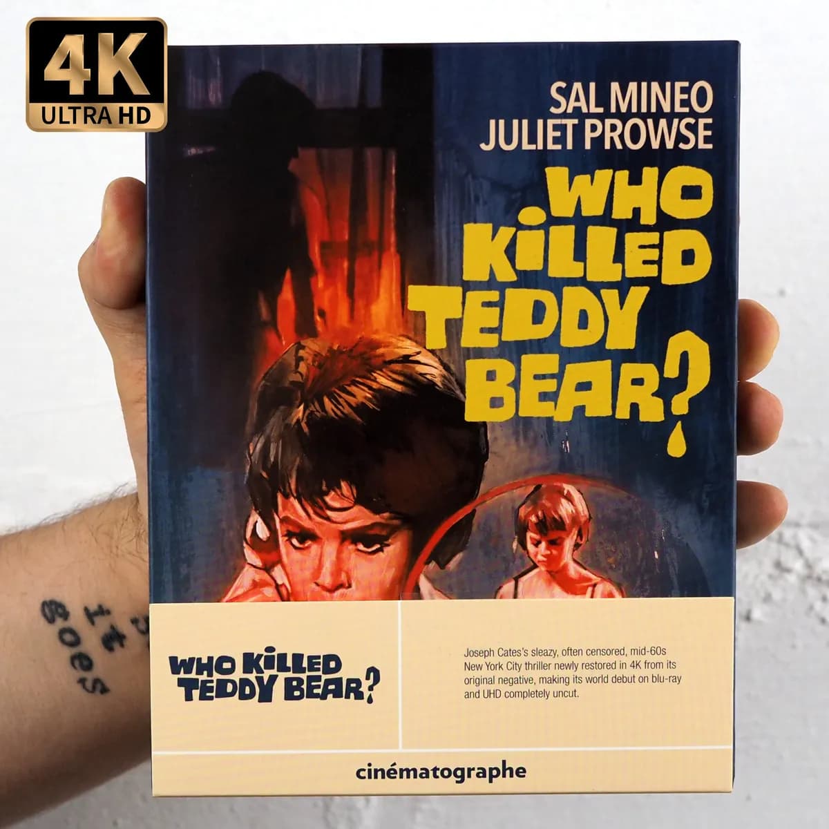 Who Killed Teddy Bear cover