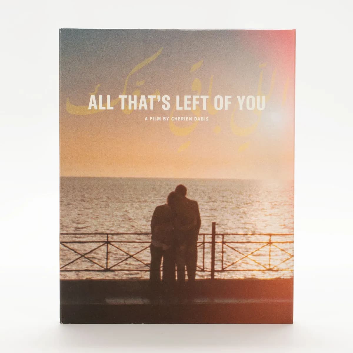 All That's Left of You cover