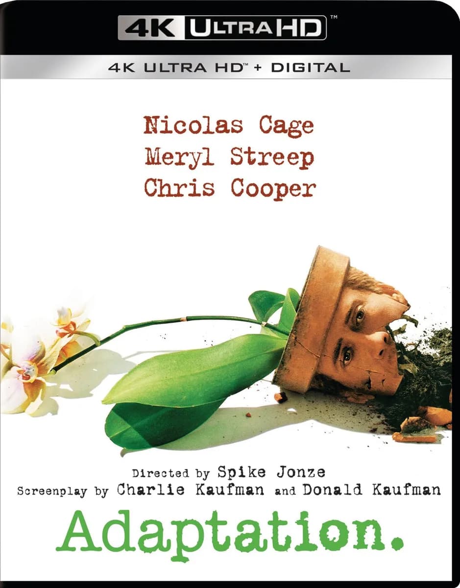 Adaptation cover