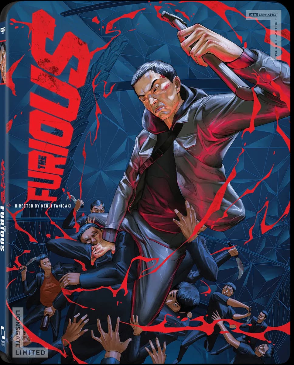 The Furious cover
