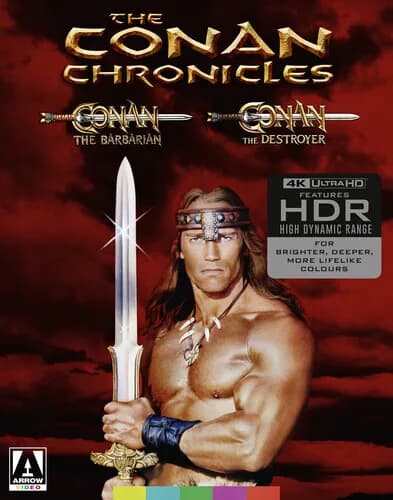 The Conan Chronicles: Conan the Barbarian / Conan the Destroyer cover