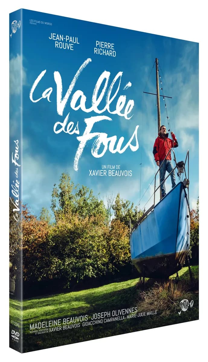 LA VALLEE DES FOUS cover