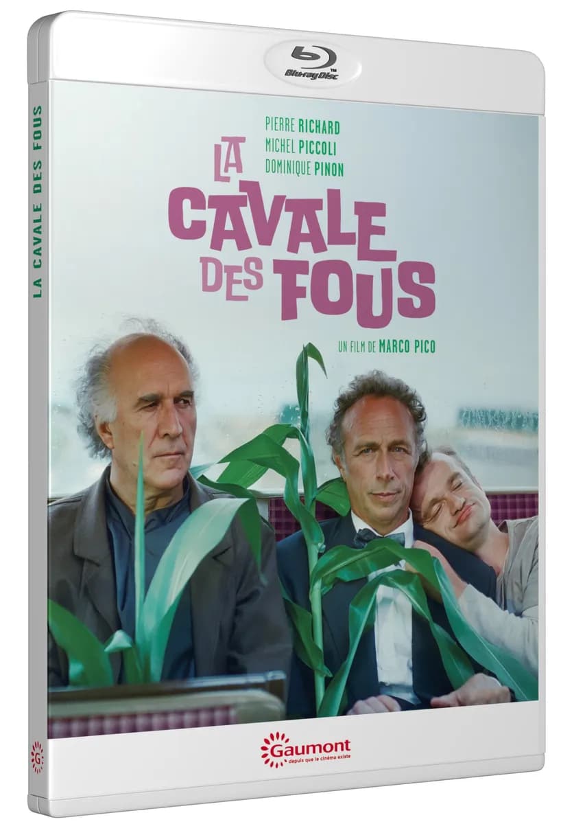 LA CAVALE DES FOUS cover