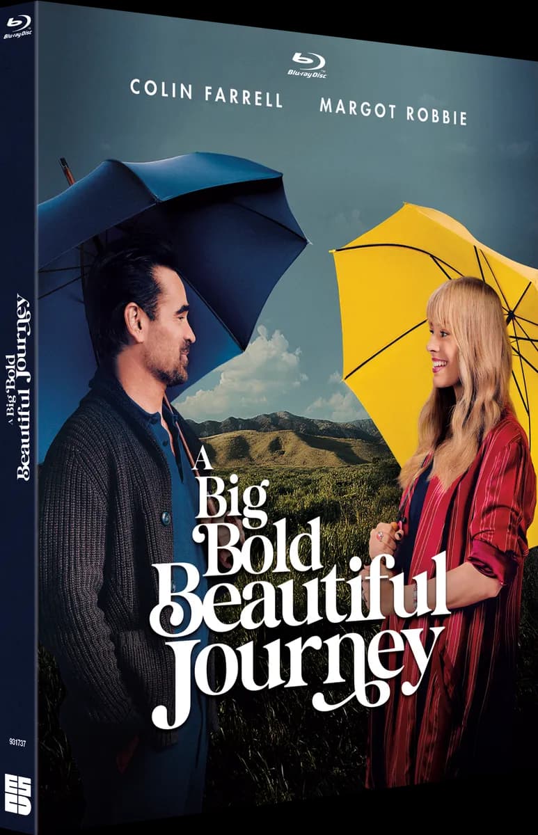 A BIG BOLD BEAUTIFUL JOURNEY cover