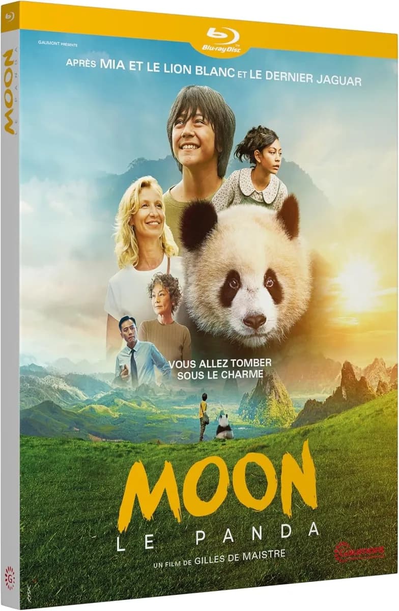 MOON LE PANDA cover