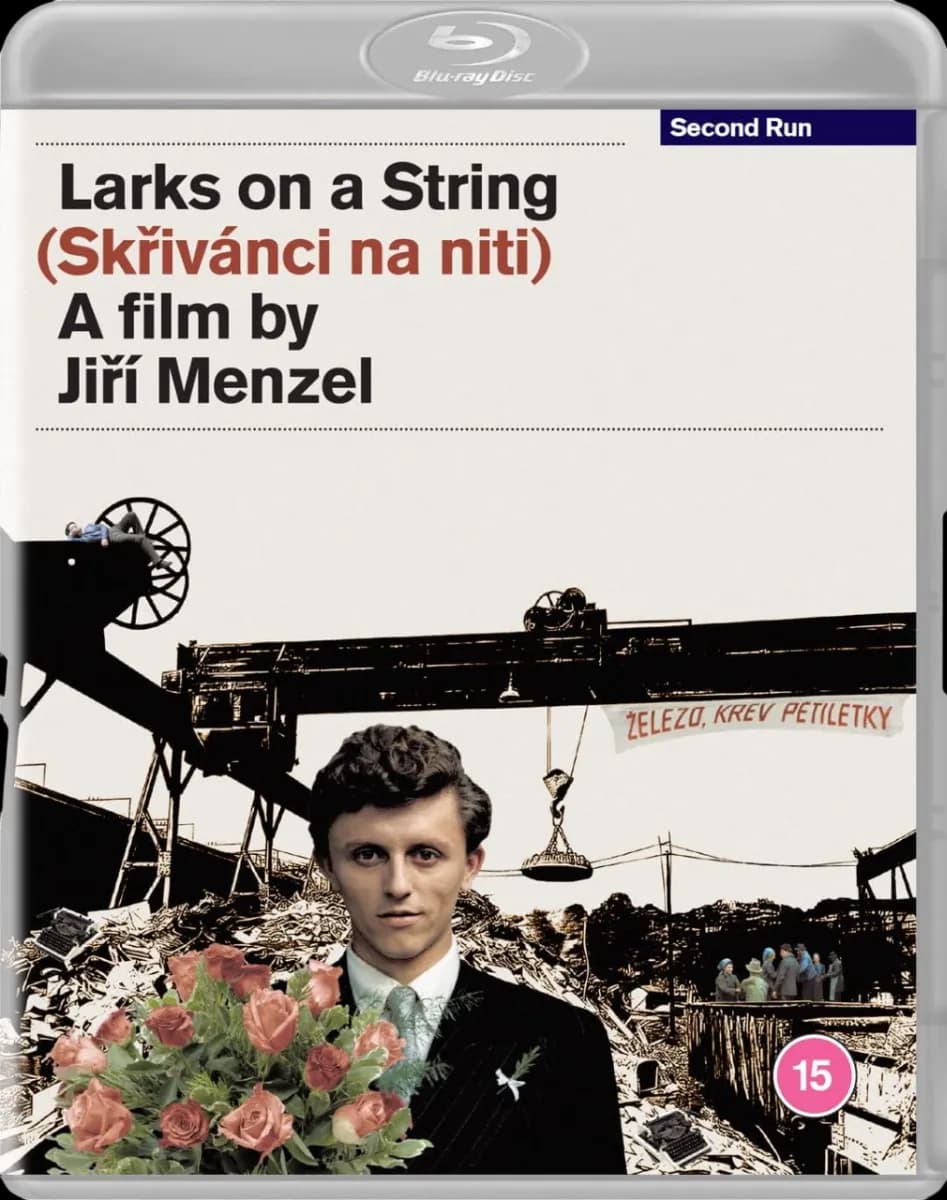 Larks On a String cover