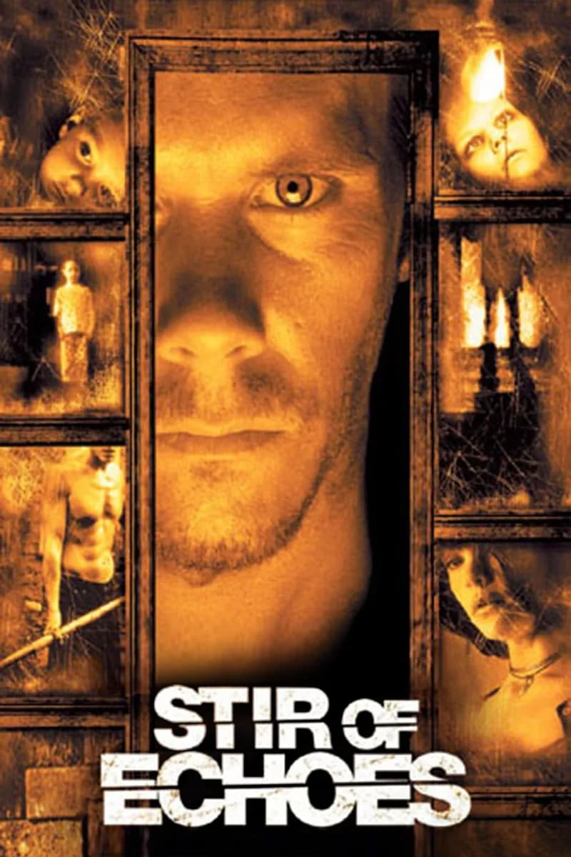 Stir of Echoes cover