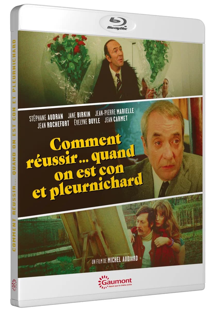 COMMENT REUSSIR… QUAND ON EST CON ET PLEURNICHARD cover