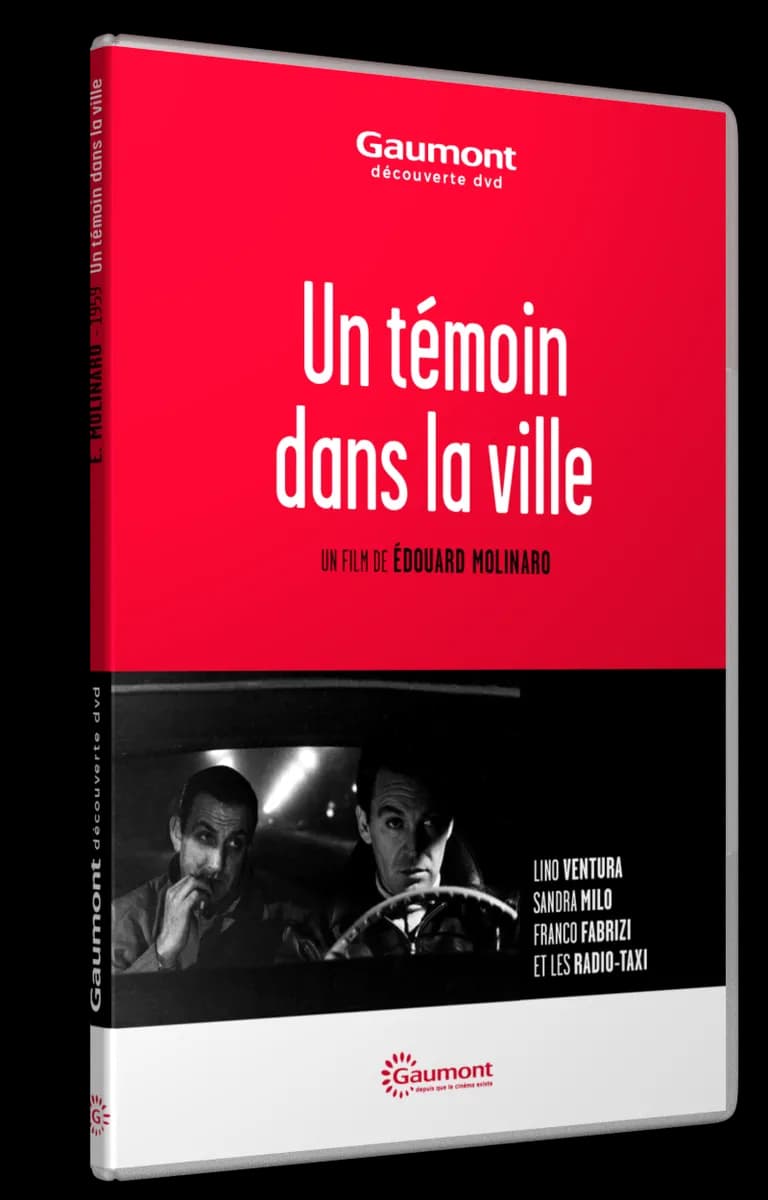 UN TEMOIN DANS LA VILLE cover