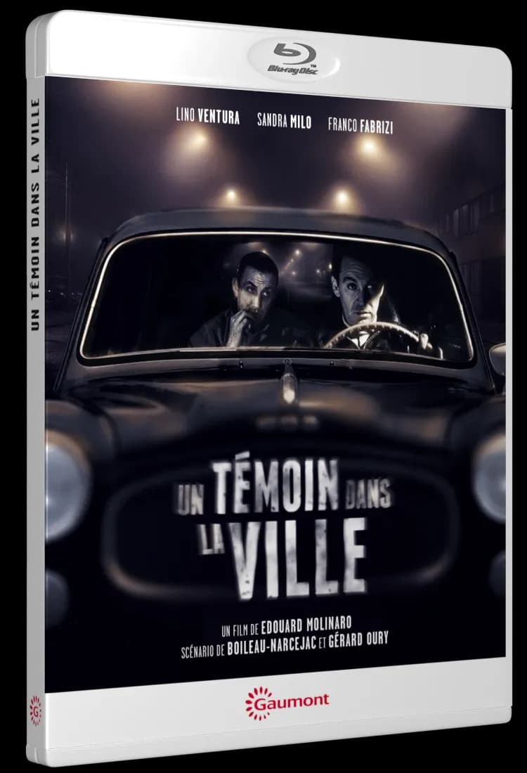 UN TEMOIN DANS LA VILLE cover