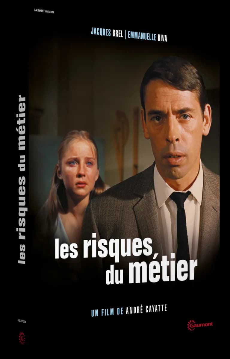 LES RISQUES DU METIER cover