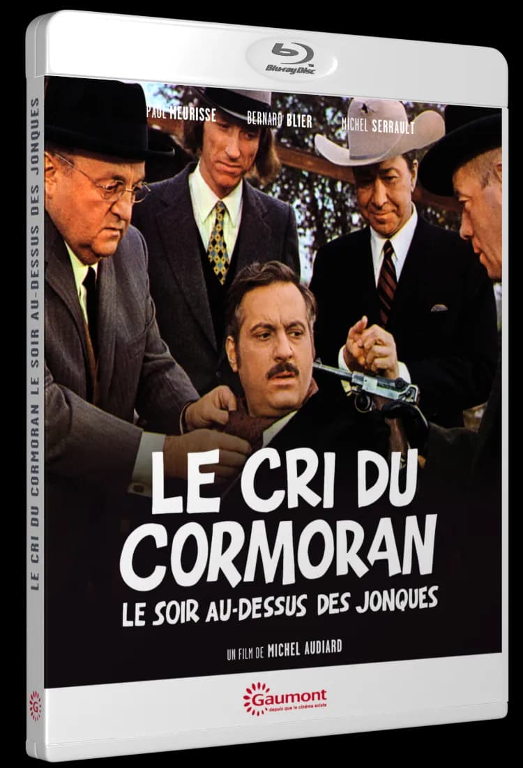 LE CRI DU CORMORAN LE SOIR AU DESSUS DES JONQUES cover
