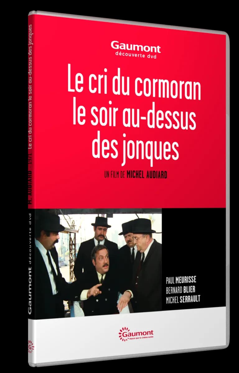 LE CRI DU CORMORAN LE SOIR AU DESSUS DES JONQUES cover