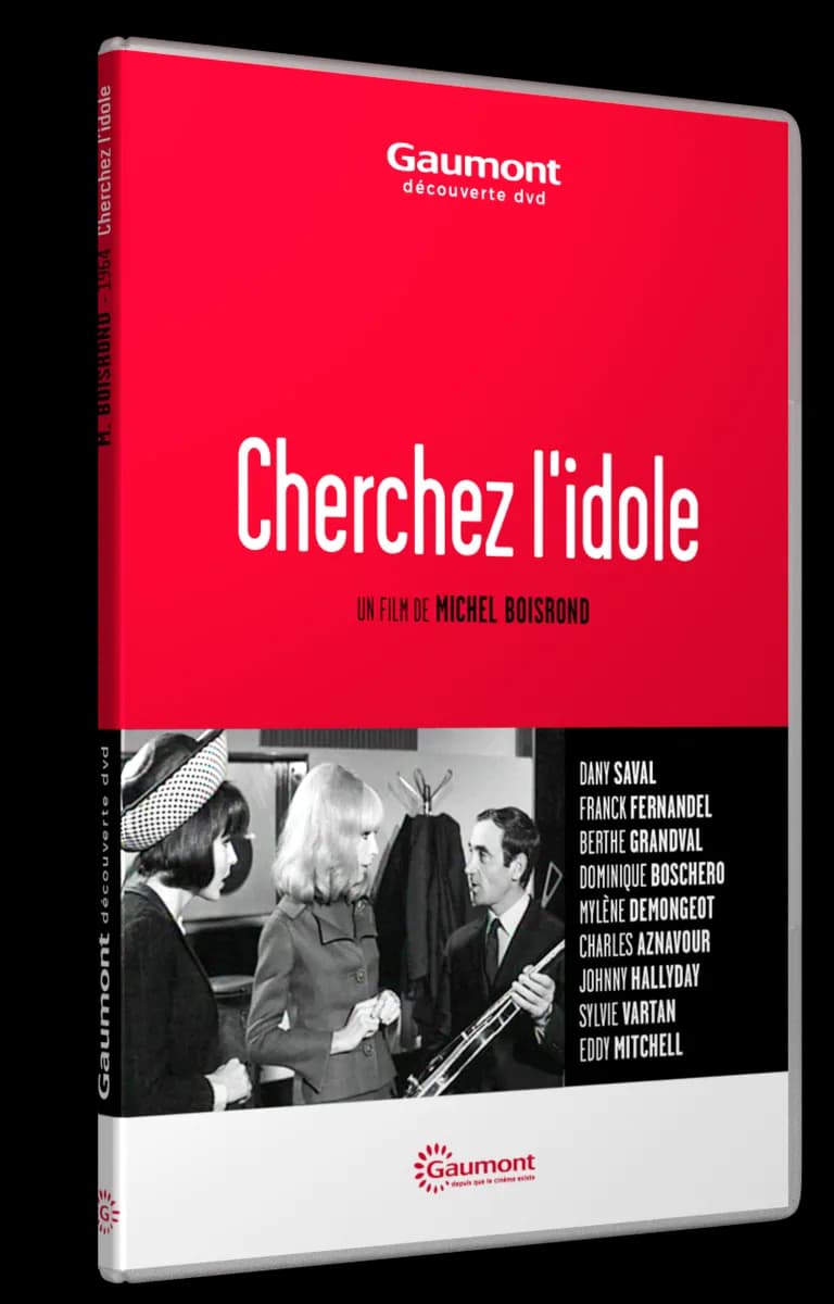 CHERCHEZ L’IDOLE cover