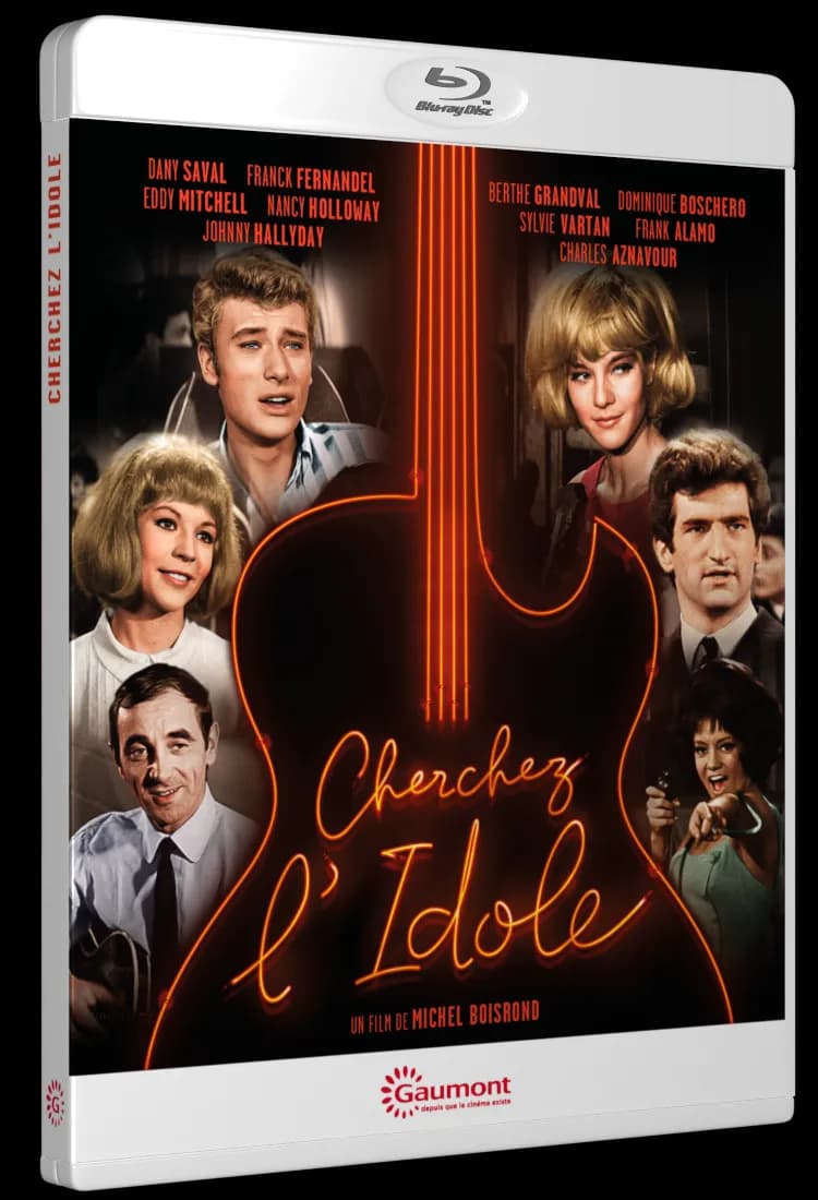 CHERCHEZ L’IDOLE cover