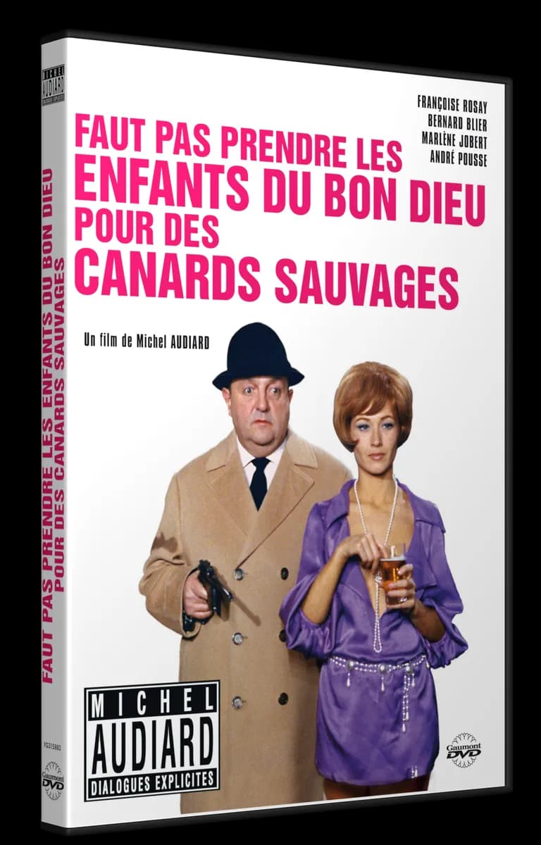 FAUT PAS PRENDRE LES ENFANTS DU BON DIEU POUR DES CANARDS SAUVAGES cover