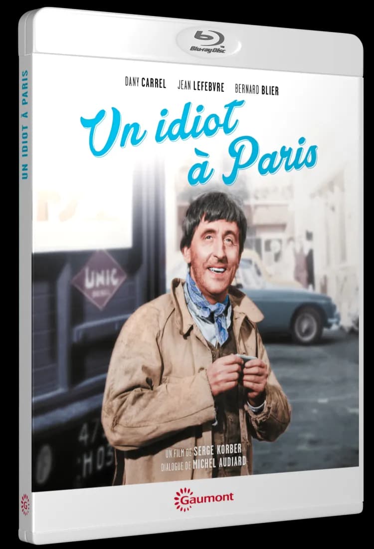UN IDIOT A PARIS cover