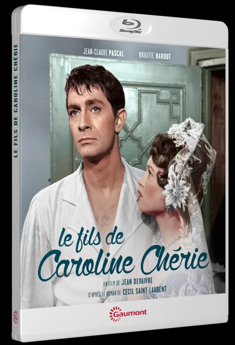 LE FILS DE CAROLINE CHERIE cover