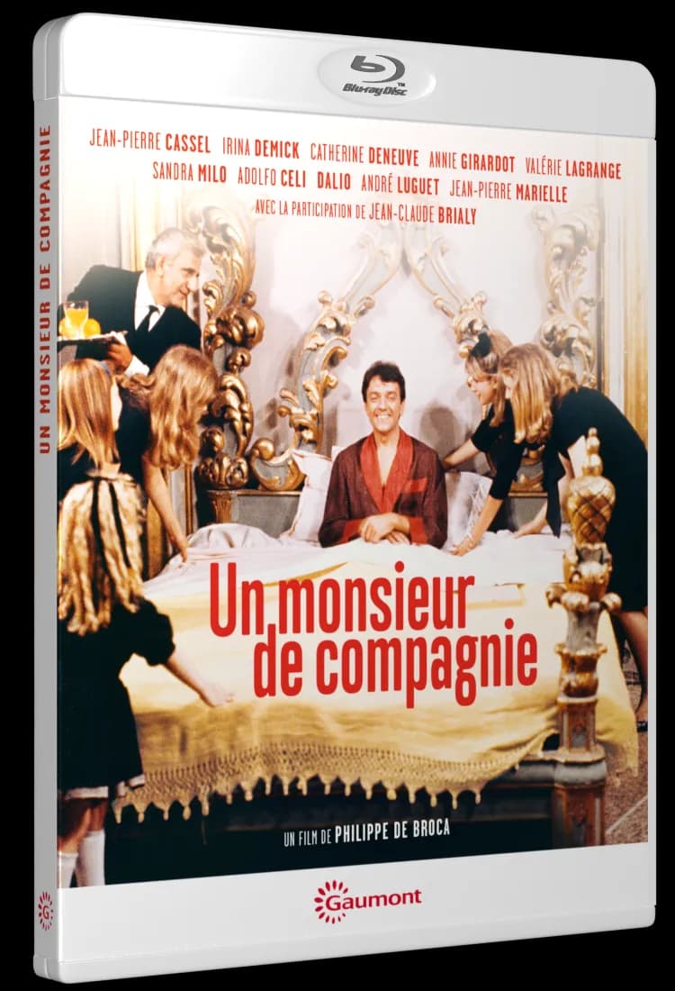 UN MONSIEUR DE COMPAGNIE cover