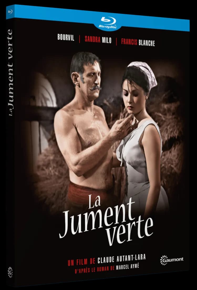 LA JUMENT VERTE cover