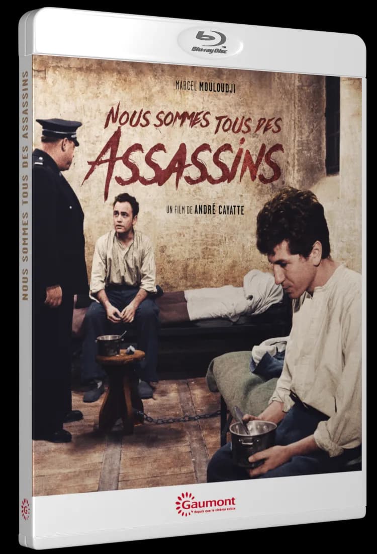 NOUS SOMMES TOUS DES ASSASSINS cover