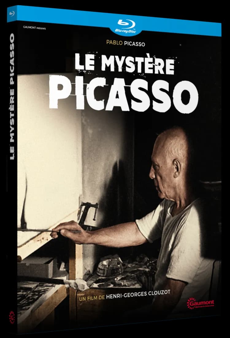 LE MYSTERE PICASSO cover