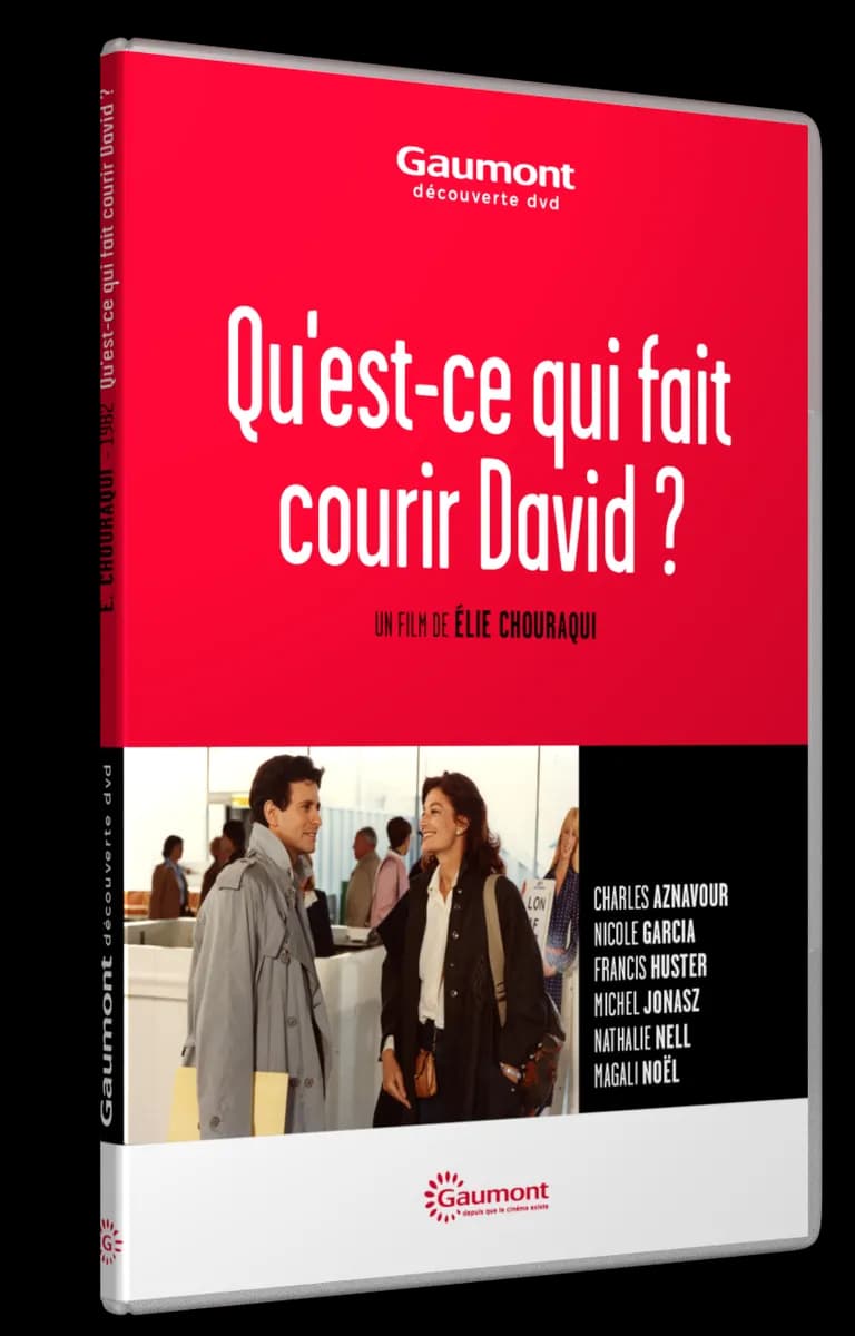 QU’EST-CE QUI FAIT COURIR DAVID ? cover