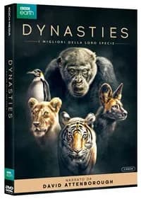 Dynasties cover