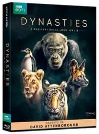 Dynasties cover