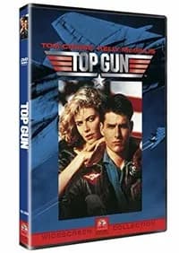Top Gun cover
