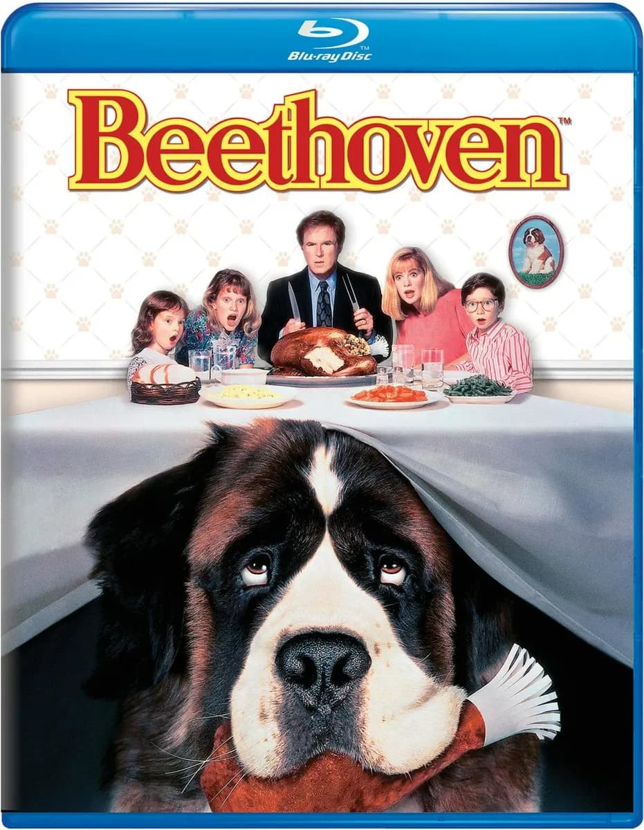 Beethoven cover
