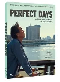 Perfect Days cover