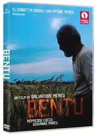 Bentu cover