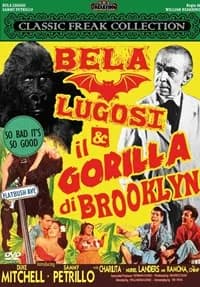 Bela Lugosi Meets A Brooklyn Gorilla cover