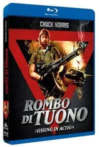 Missing in Action cover