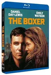 The Boxer cover