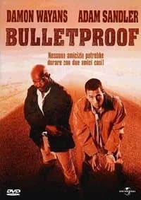 Bulletproof cover