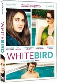 White Bird in a Blizzard cover