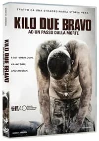 Kajaki cover