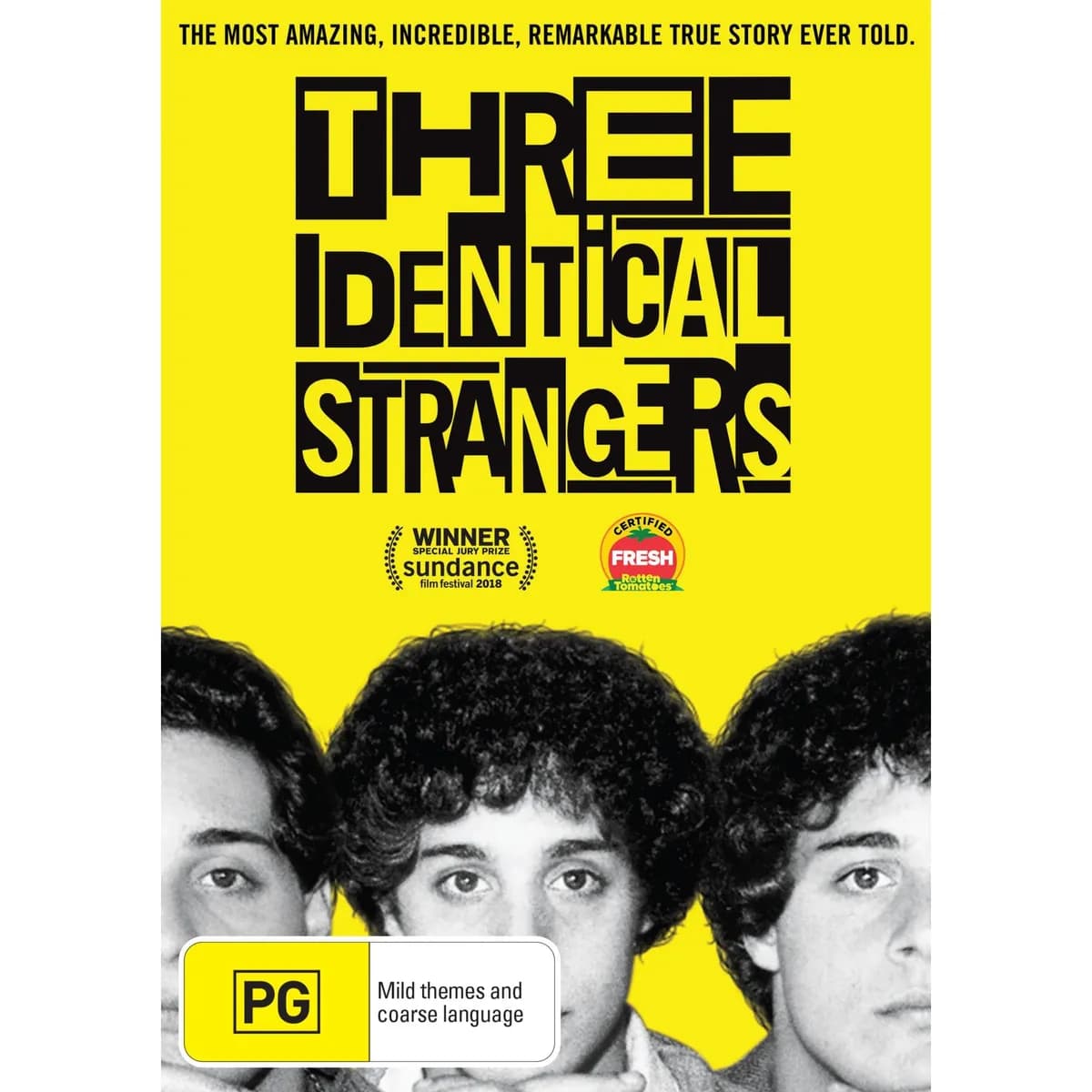 Three Identical Strangers cover
