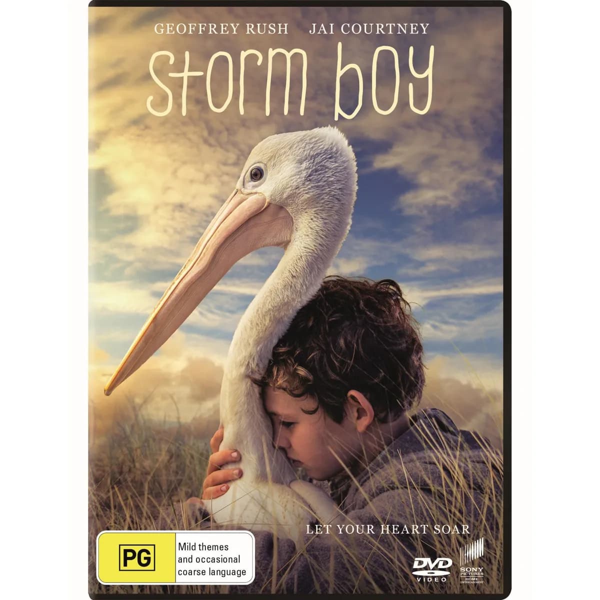 Storm Boy cover
