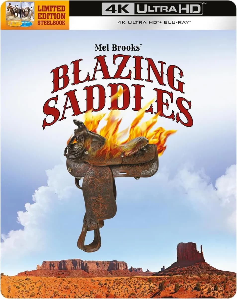 Blazing Saddles cover