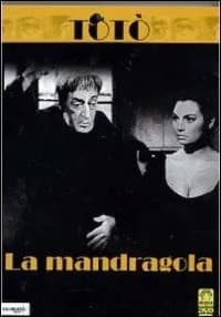 La mandragola cover