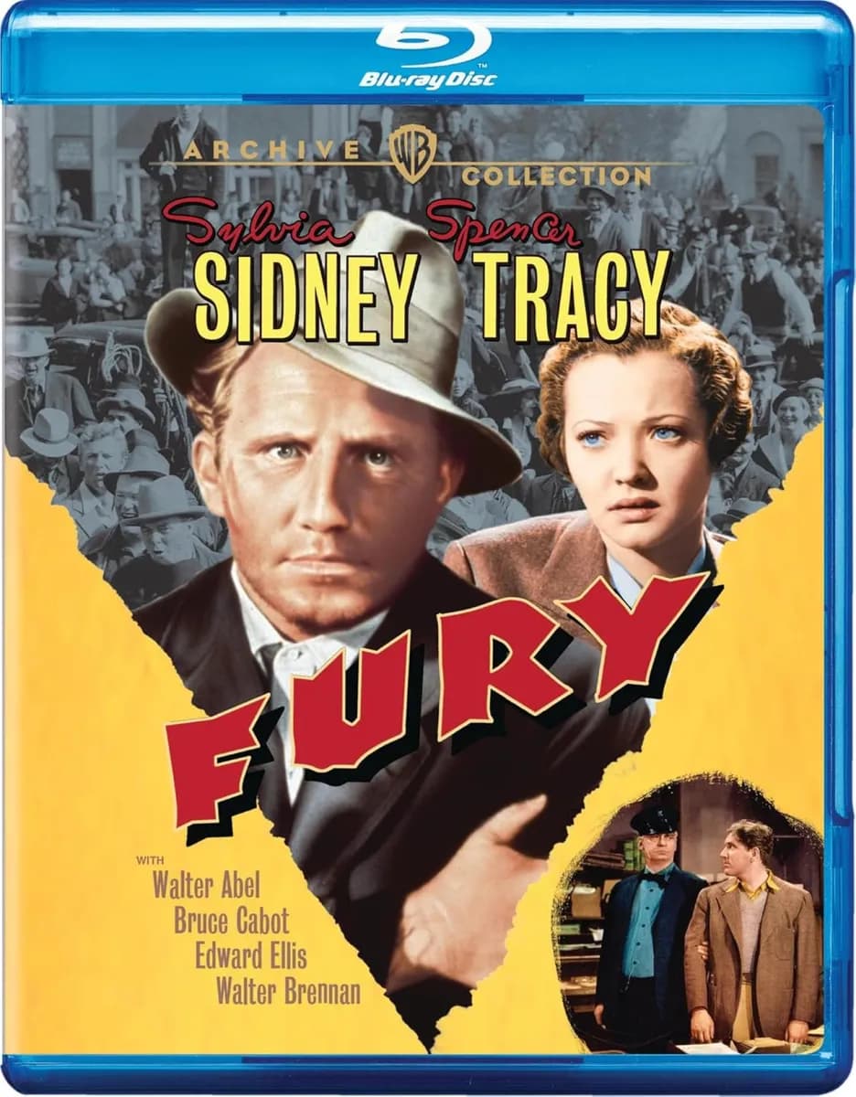 Fury cover