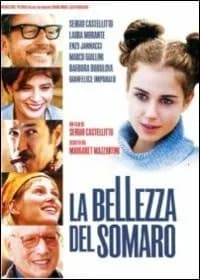 La bellezza del somaro cover