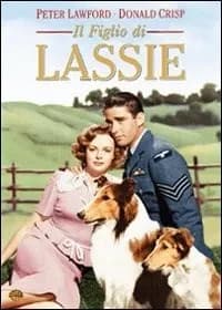 Son of Lassie cover