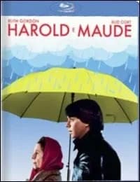 Harold and Maude cover