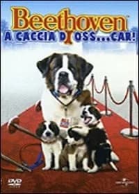 Beethoven's Big Break cover
